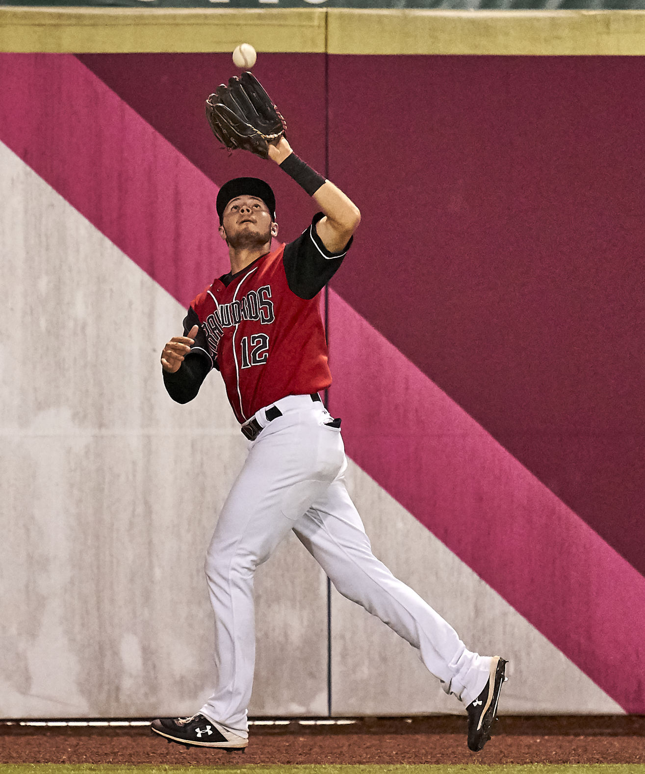 20190824 CRAWDADS 8.jpg